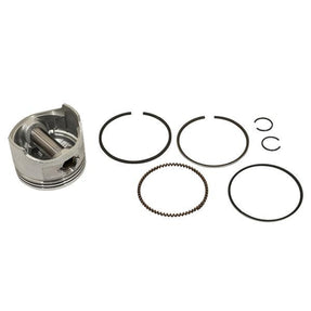 Piston & Ring Assy Std 4 Cyc, 295 EZ – additional product view