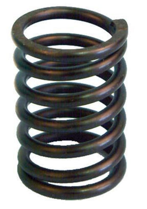 Valve Spring Fe290 1992-05 – additional product view