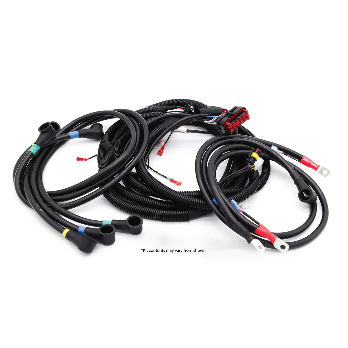 Club Car DS EB Power Eco System AC Conversion Kit by Eco Battery