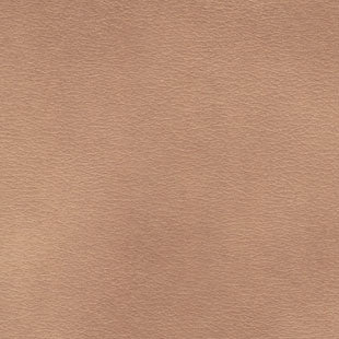 Tan Matches EZGO TXT TAN
